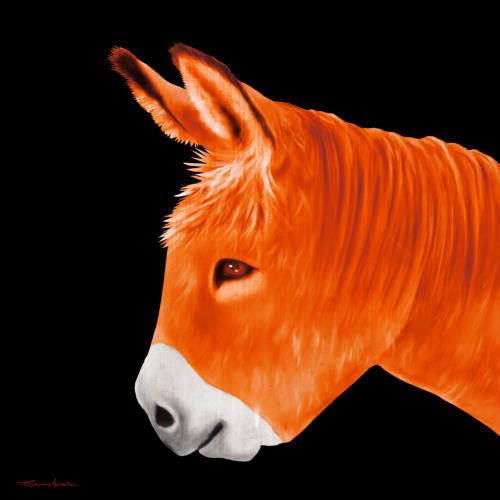 PTIT ANE ORANGE donkey Showroom - Inkjet on plexi, limited editions, numbered and signed. Wildlife painting Art and decoration. Click to select an image, organise your own set, order from the painter on line